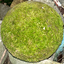 Profile picture of ‌خربزه خسته‌