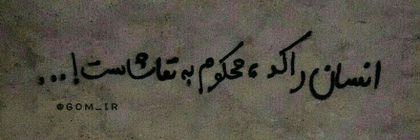‌سیدمرتضی حق‌گو‌'s header picture