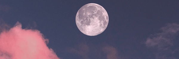 ‌زیرِ نورِ ماه 🌕‌'s header picture