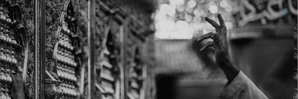 ‌سید‌سجاٰد؛‌'s header picture