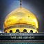 Profile picture of ‌𝑯𝒆𝒚𝒅𝒂𝒓 𝑲𝒂𝒓𝒂𝒓‌