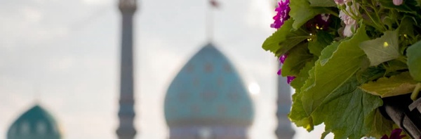 ‌تلنگرانه‌'s header picture