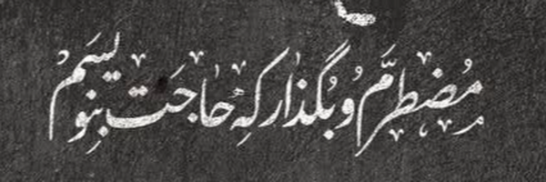 ‌Noamay :)‌'s header picture