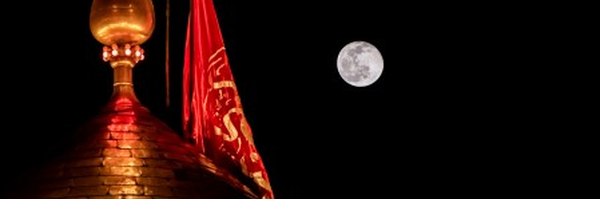 ‌محمدجواد زارع‌'s header picture