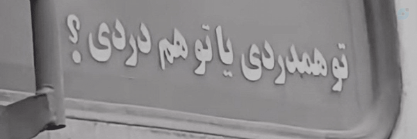 ‌نیلوفر یاری‌'s header picture