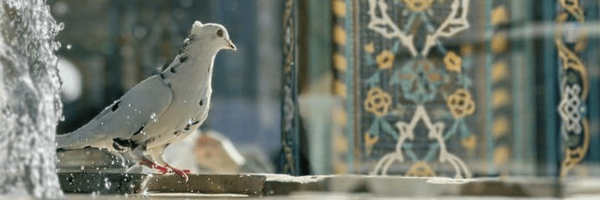 ‌خانم‌ِمحب .‌'s header picture