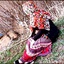 Profile picture of ‌هلنا(بانوی زمستان)❄🍎 حمیدی‌