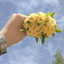 Profile picture of ‌فائزه رضائی‌