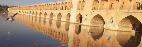 ‌elaheh‌'s header picture