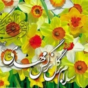 Profile picture of ‌حمید پورمیری‌