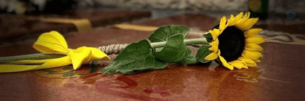‌Rahgozar‌'s header picture