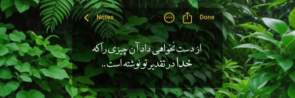 ‌نرگس‌'s header picture