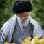 Profile picture of ‌Kosar Ebrahimi‌