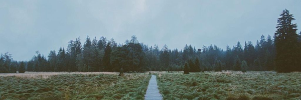 ‌یگانه‌م‌'s header picture