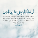 Profile picture of ‌Mohammad Eskandari‌