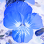 Profile picture of ‌برادر مجنون دل گرفته‌