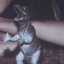 Profile picture of ‌T_REX‌