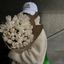 Profile picture of ‌آتنـه‌