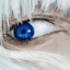 Profile picture of ‌milk‌