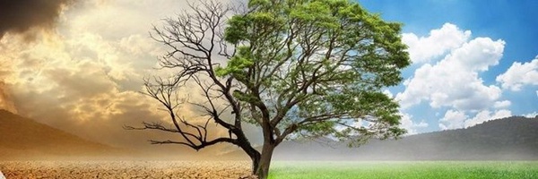 ‌🇮🇷ثواب الاعمال_عقاب الاعمال‌'s header picture