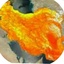 Profile picture of ‌سیدنیما ((ایران))‌