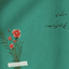 Profile picture of ‌zarifkar‌