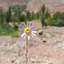 Profile picture of ‌amir mahdi Shoja‌