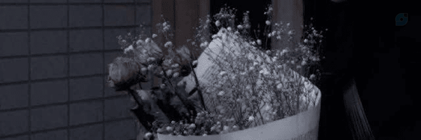 ‌دخترخانم ایران‌'s header picture