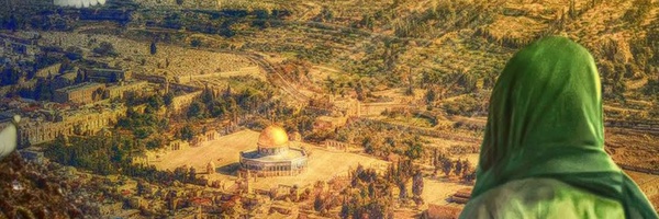 ‌Ali Allahdad313‌'s header picture