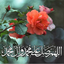 Profile picture of ‌☔بارون بهار☔‌