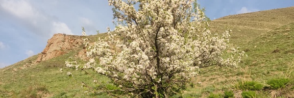 ‌نورالله عبدی‌'s header picture