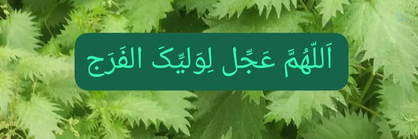 ‌شهاوند..‌'s header picture