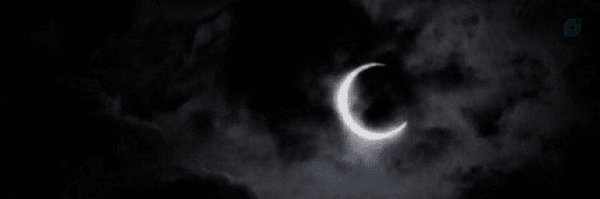 ‌Dead‌'s header picture