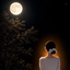 Profile picture of ‌Reyhane𐙚‌
