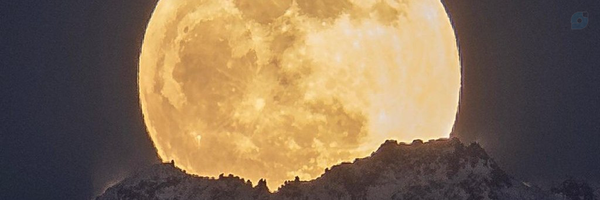 ‌Rosha M‌'s header picture