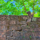 Profile picture of ‌سِدره‌