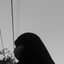 Profile picture of ‌ویرانك‌خاتون .‌