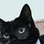 Profile picture of ‌ʜᴇᴊʀᴀɴ .‌