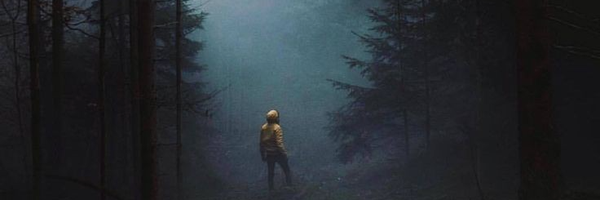 ‌𝐿𝑜𝑛𝑒𝑙𝑦‌'s header picture