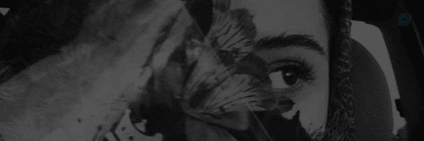 ‌𝒁𝒂𝒉𝒓𝒂‌'s header picture
