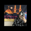 Profile picture of ‌𝐍𝐚𝐣𝐯𝐚‌