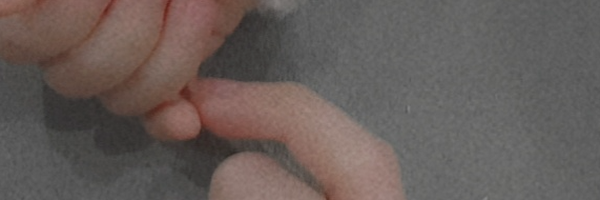 ‌فاقد اسم :/🇮🇷‌'s header picture