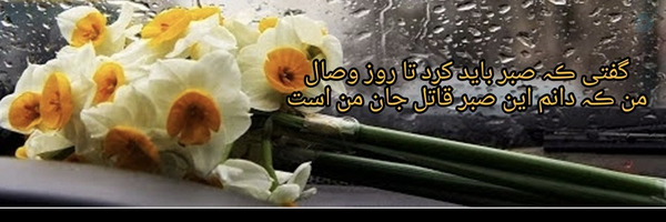‌میرمحمدی‌'s header picture