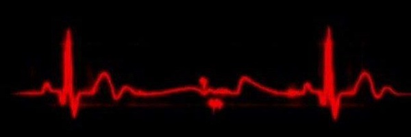 ‌حسین قاسمی‌'s header picture