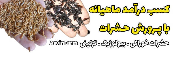 ‌محمد آروین‌'s header picture
