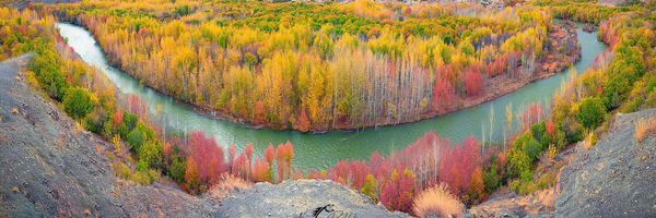 ‌ترب | ویراستی‌'s header picture