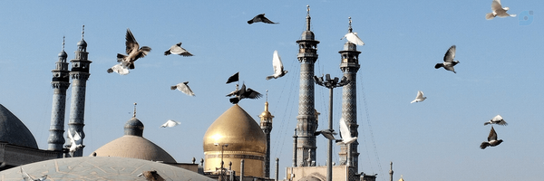 ‌کآشف‌'s header picture