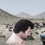 Profile picture of ‌شــ🇮🇷ــاهرخ فاتح‌