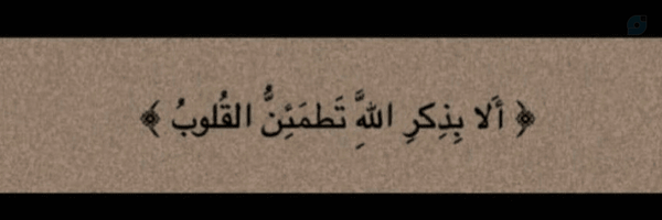 ‌سفیر هیسطوری؛☫🏴‌'s header picture