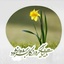 Profile picture of ‌یا علــــــــی | 𝓨𝓪 𝓐𝓵𝓲‌
